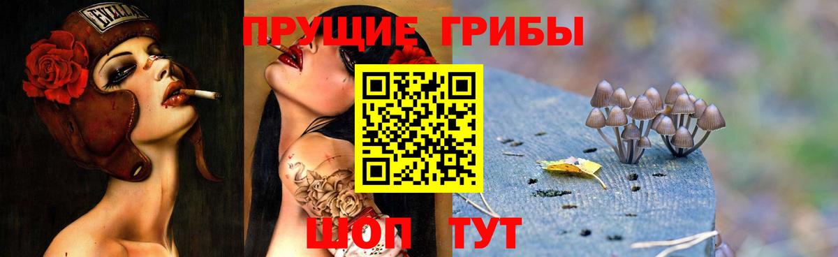 Галлюциногенные грибы мухоморы  Вход с VPN  Грязи 